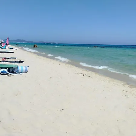 Apartmán Domus Oleanders